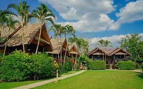 Pai Homey